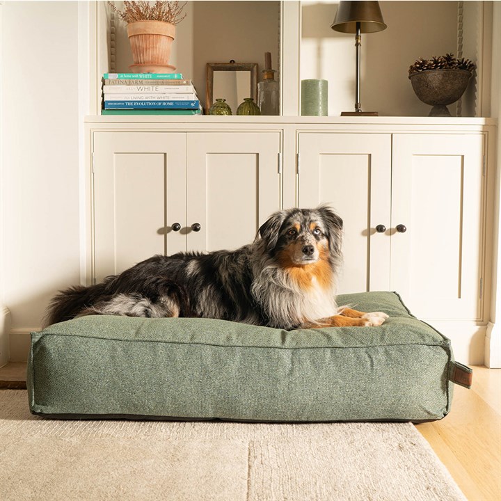 Fantail Mattress Stargaze Origin Botanical Green Dog Bed